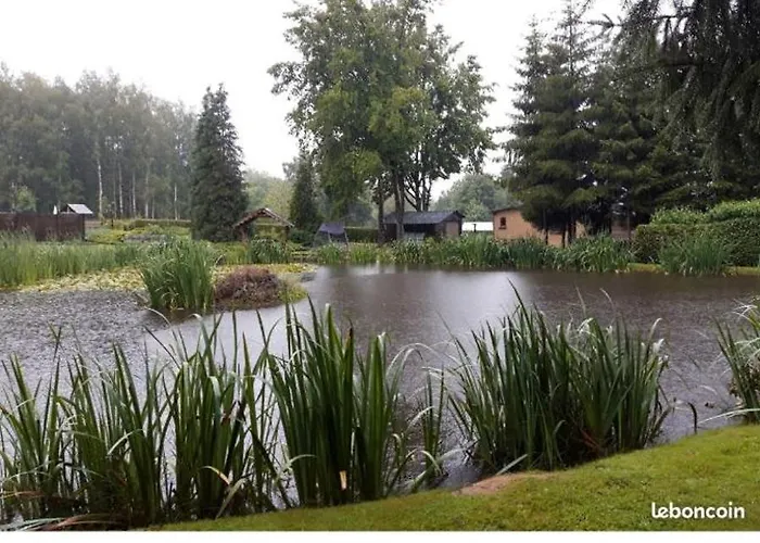 De L'etang * Hargnies